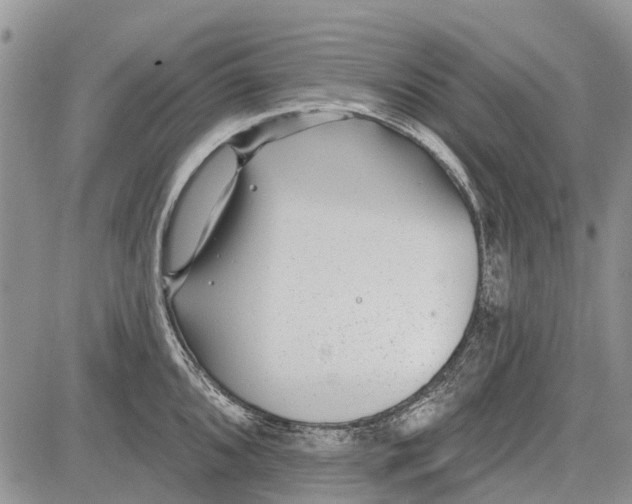 X0000081581096200702051233