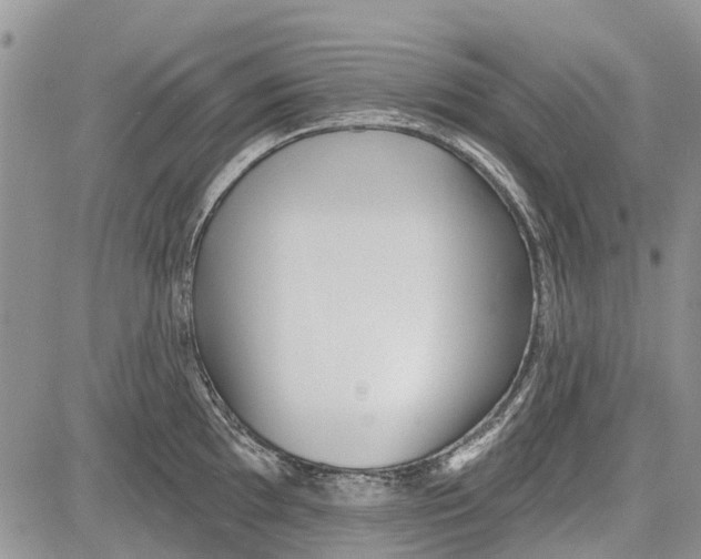 X0000081581097200702051233