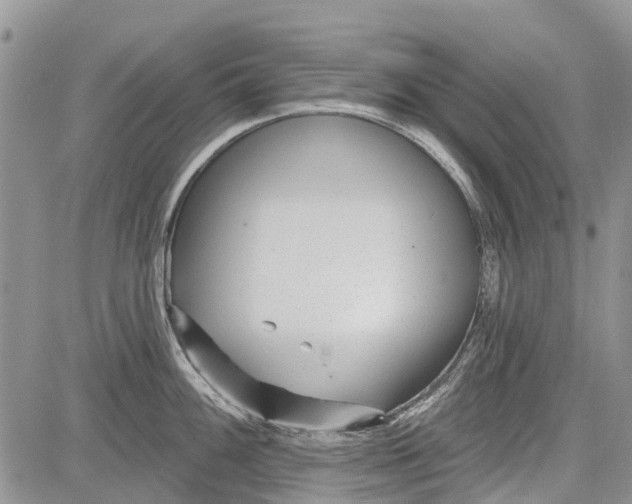 X0000081581100200702051233