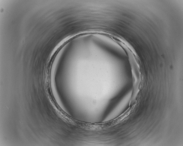 X0000081581101200702051233