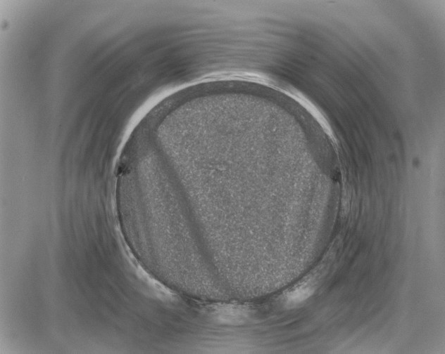 X0000081581102200702051233