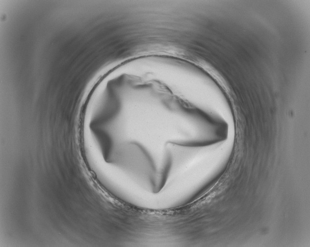 X0000081581104200702051233