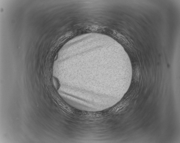 X0000081581105200702051232