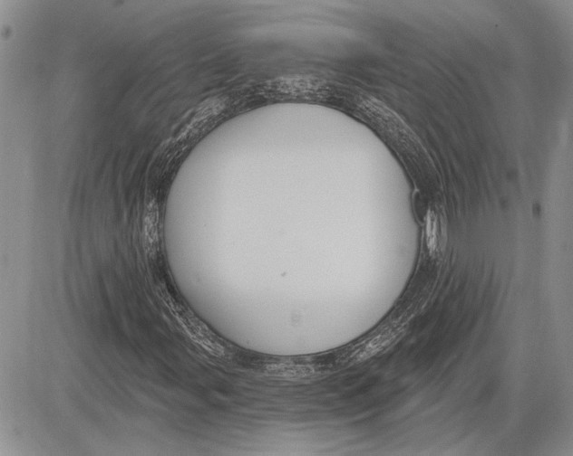 X0000081581107200702051232