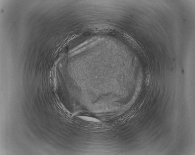 X0000081581108200702051232