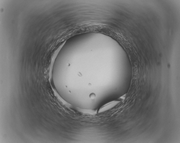 X0000081581109200702051232