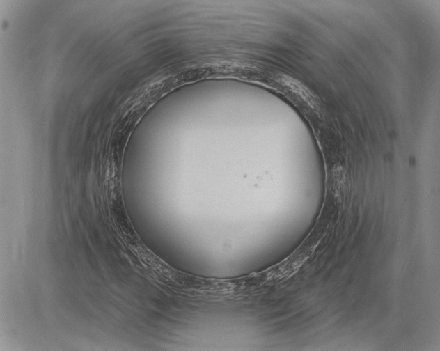 X0000081581111200702051232