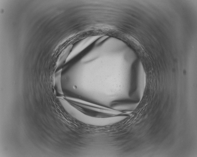 X0000081581112200702051232