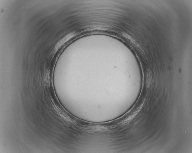 X0000081581113200702051232