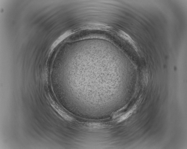 X0000081581114200702051232