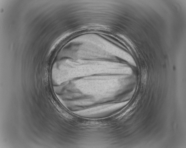 X0000081581115200702051232