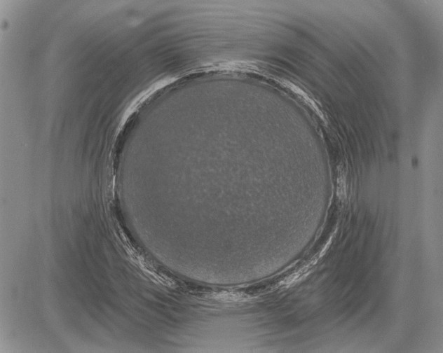 X0000081581117200702051232