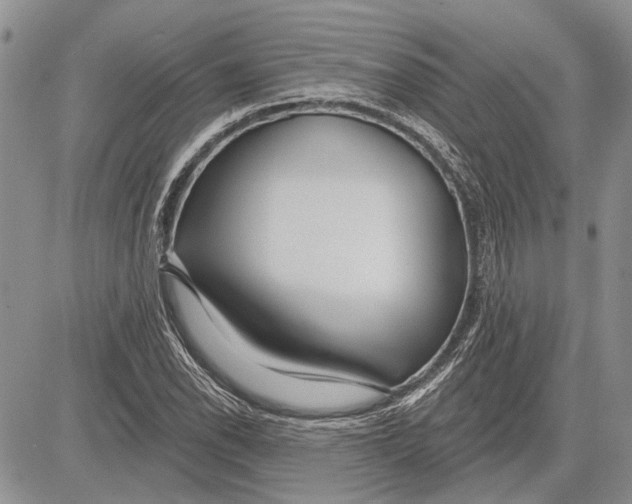 X0000081581118200702051232