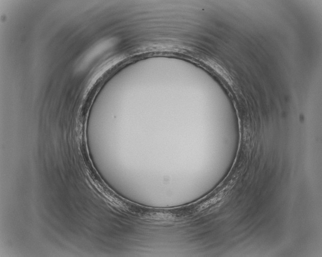 X0000081581119200702051232