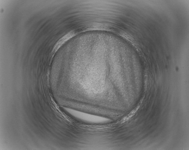 X0000081581121200702051232