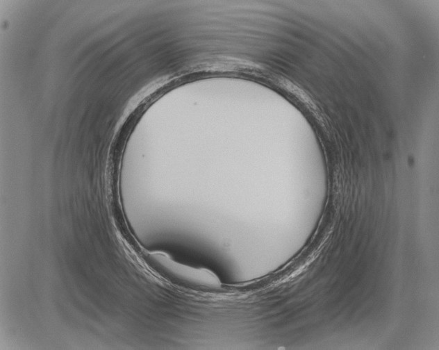 X0000081581122200702051232