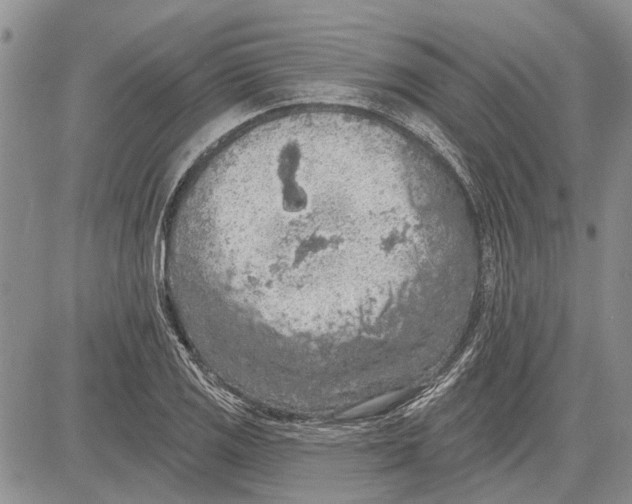 X0000081581125200702051232