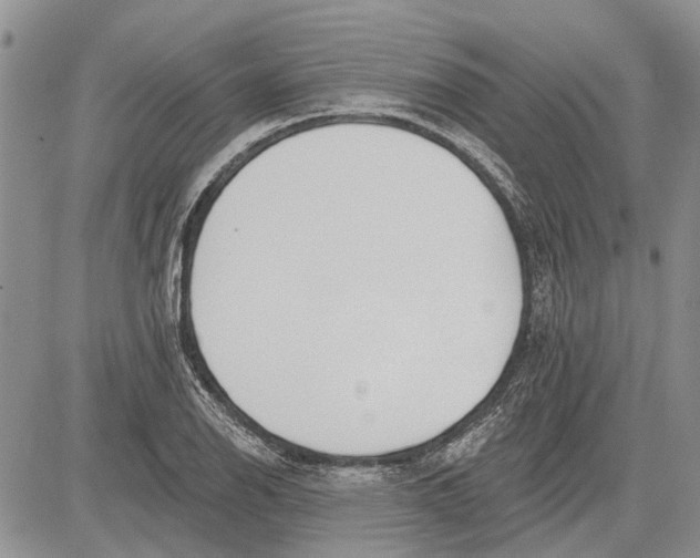 X0000081581126200702051232