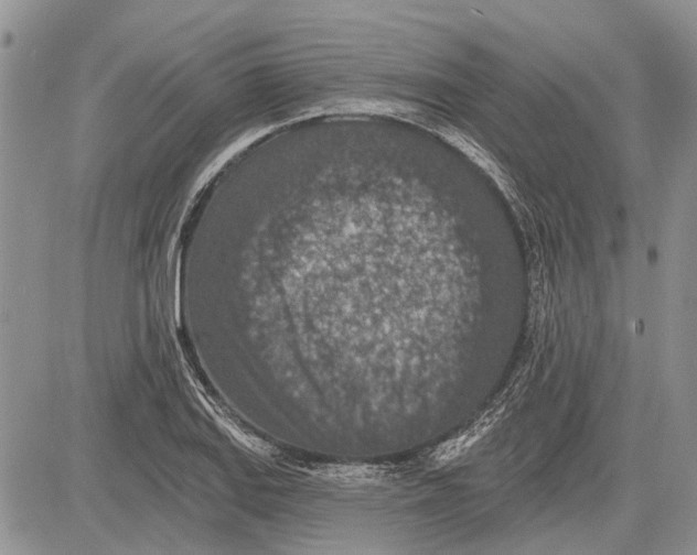 X0000081581127200702051232