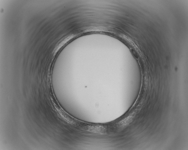 X0000081581129200702051232