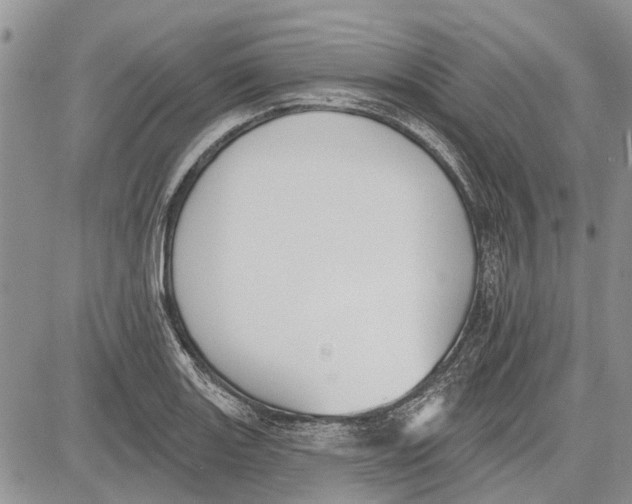 X0000081581131200702051232