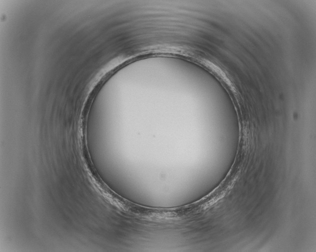 X0000081581133200702051232