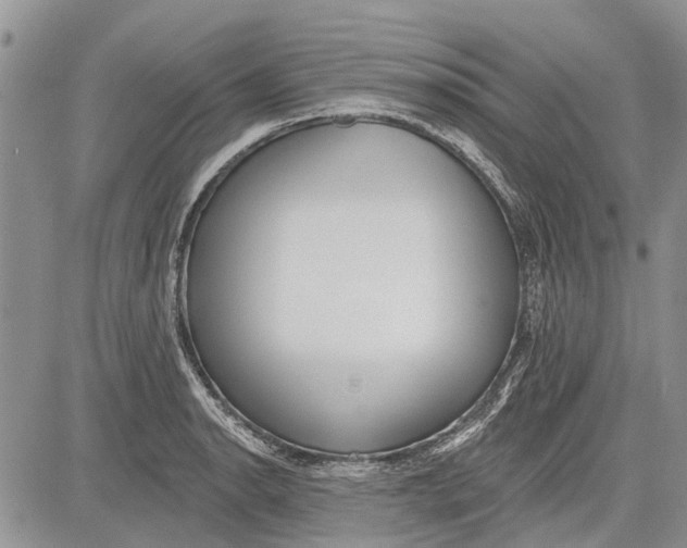 X0000081581134200702051232