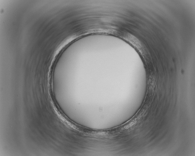 X0000081581135200702051232