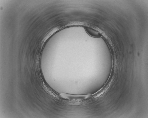 X0000081581137200702051232