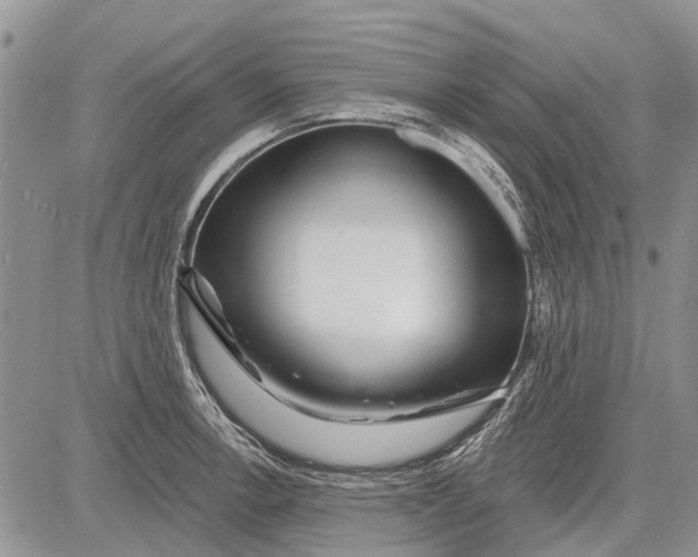 X0000081581138200702051232