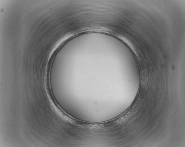 X0000081581139200702051233