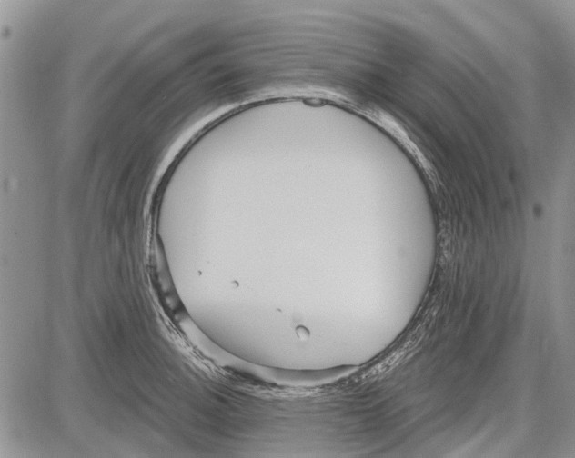 X0000081581140200702051233