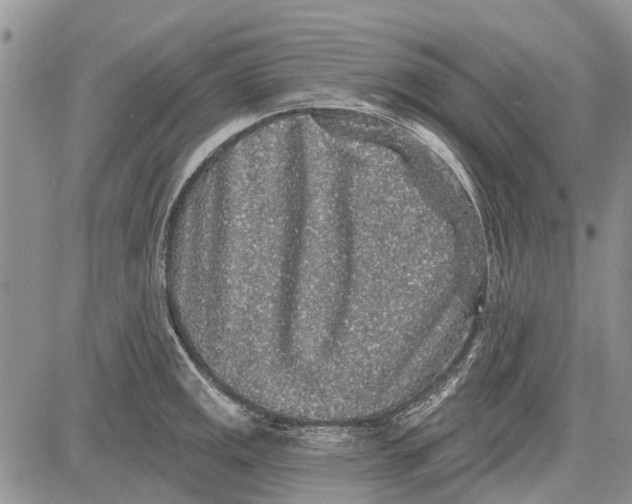 X0000081581141200702051233