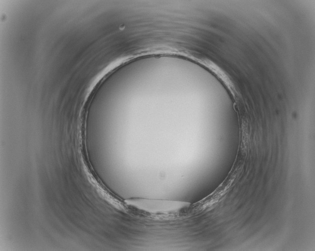 X0000081581142200702051233