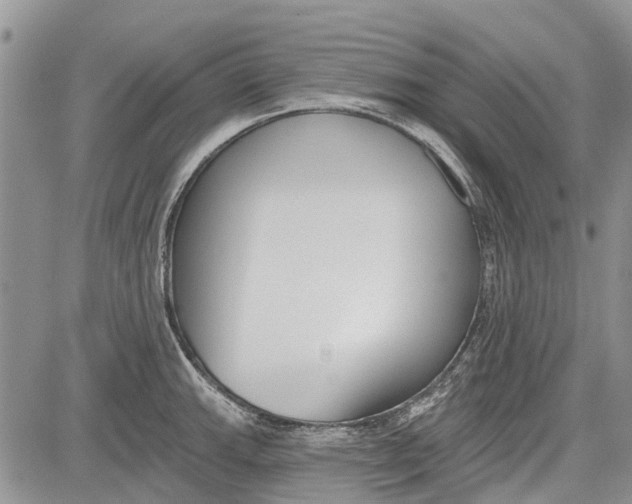 X0000081581143200702051233