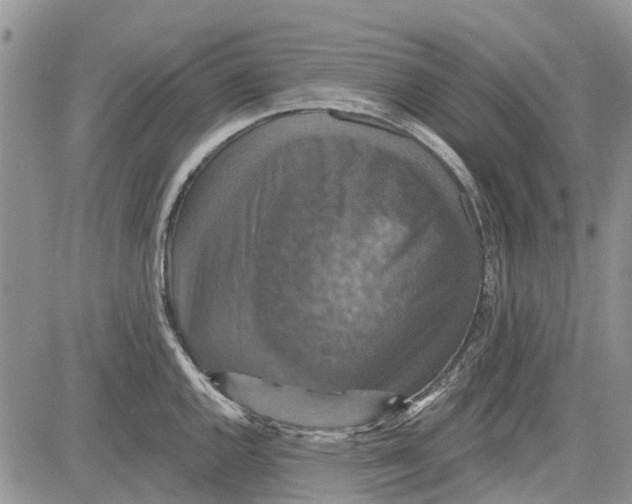 X0000081581144200702051233