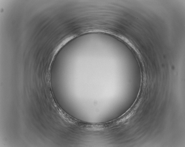 X0000081581145200702051233