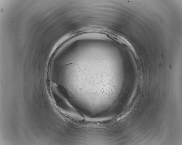 X0000081581146200702051233