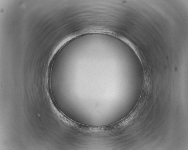 X0000081581147200702051233