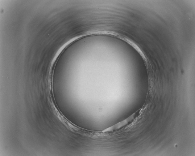 X0000081581148200702051233