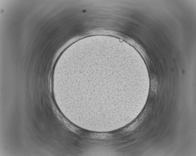 X0000081581150200702051233