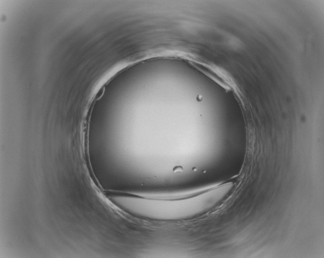 X0000081581151200702051233