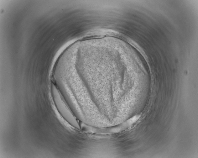 X0000081581152200702051233