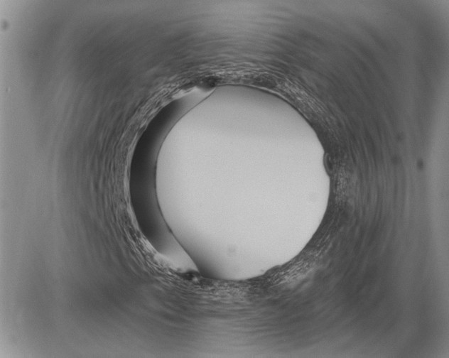 X0000081581153200702051232