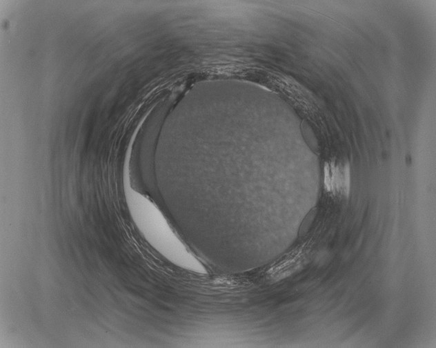 X0000081581155200702051232