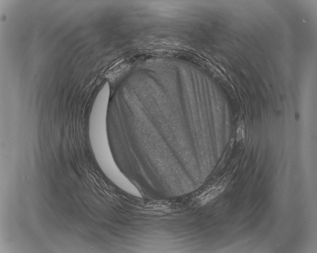 X0000081581156200702051232