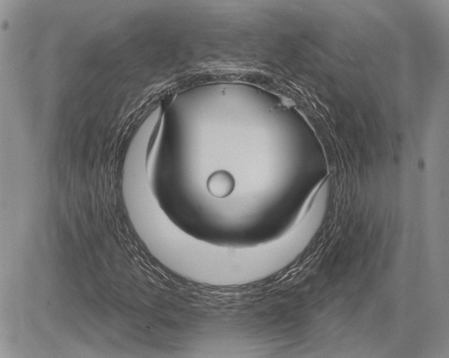 X0000081581157200702051232