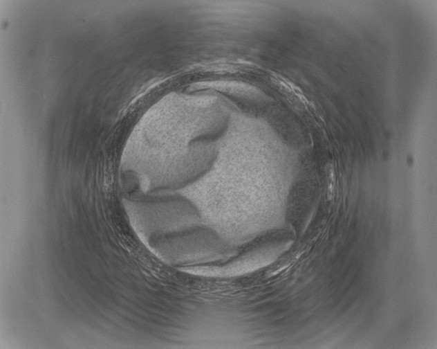 X0000081581158200702051232