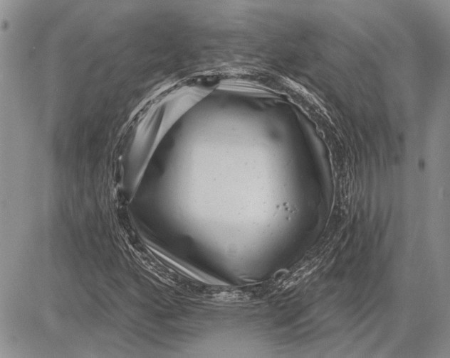 X0000081581160200702051232