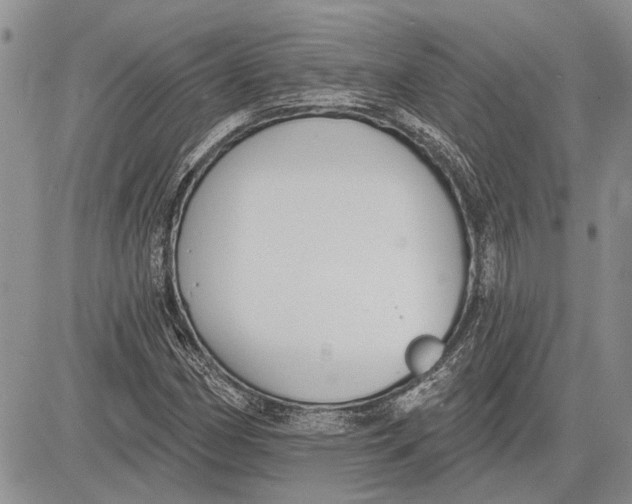 X0000081581162200702051232